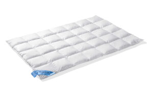 Vandyck 65 Enkel Donzen Dekbed